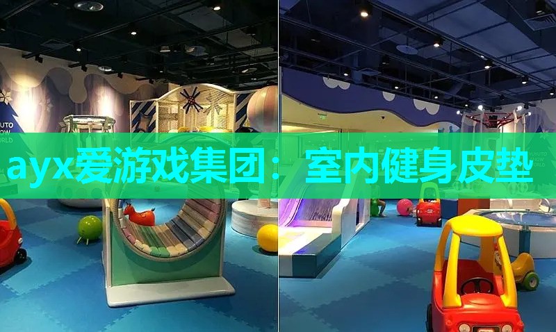 ayx爱游戏集团：室内健身皮垫