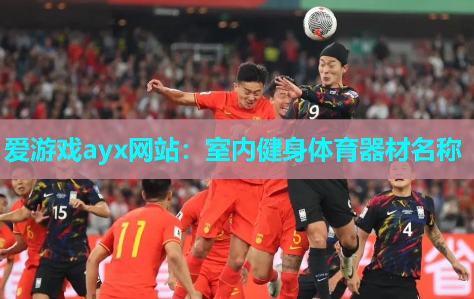 爱游戏ayx网站：室内健身体育器材名称