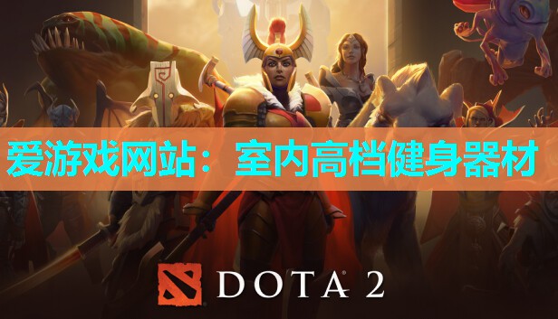 爱游戏网站：室内高档健身器材
