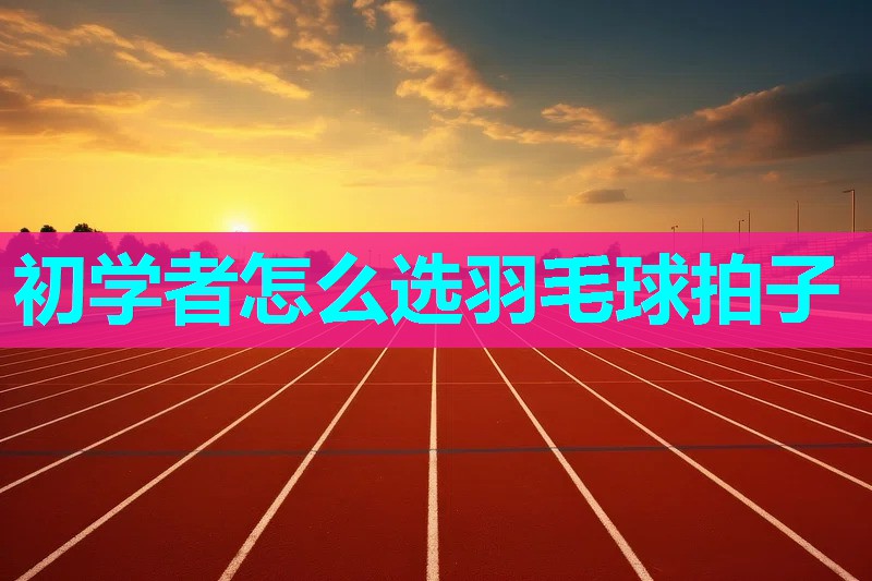 初学者怎么选羽毛球拍子