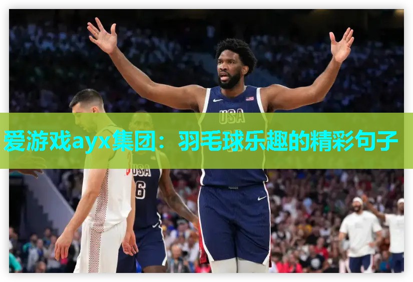 爱游戏ayx集团：羽毛球乐趣的精彩句子