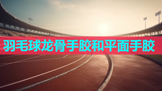 羽毛球龙骨手胶和平面手胶