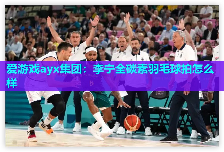 爱游戏ayx集团：李宁全碳素羽毛球拍怎么样