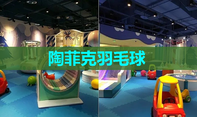 陶菲克羽毛球
