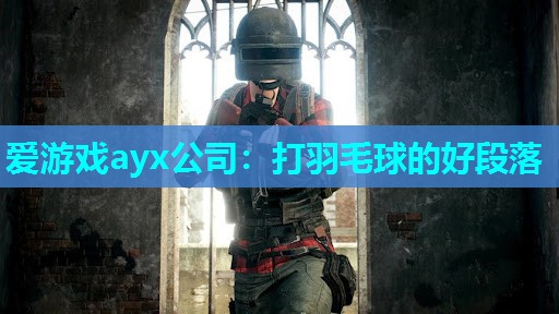爱游戏ayx公司：打羽毛球的好段落