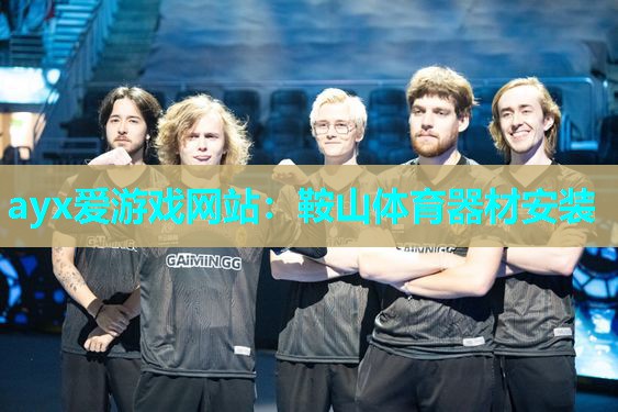 ayx爱游戏网站：鞍山体育器材安装