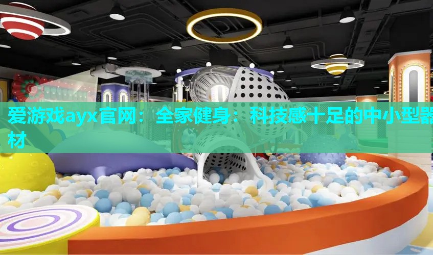 爱游戏ayx官网：全家健身：科技感十足的中小型器材