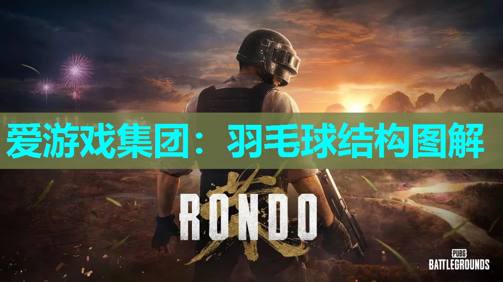 爱游戏集团：羽毛球结构图解