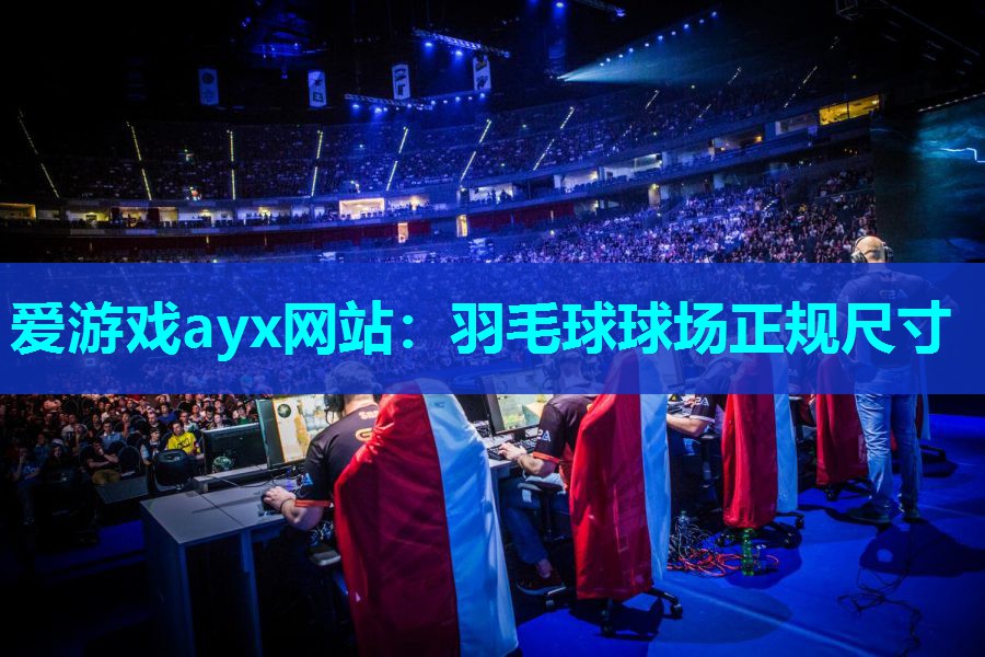 爱游戏ayx网站：羽毛球球场正规尺寸