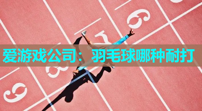 爱游戏公司：羽毛球哪种耐打