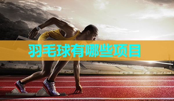 羽毛球有哪些项目
