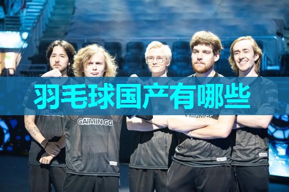 羽毛球国产有哪些