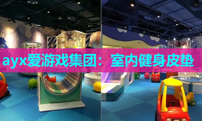 室内健身皮垫