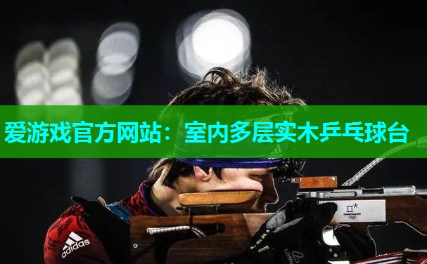 室内多层实木乒乓球台