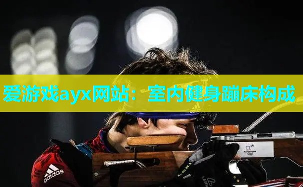 室内健身蹦床构成
