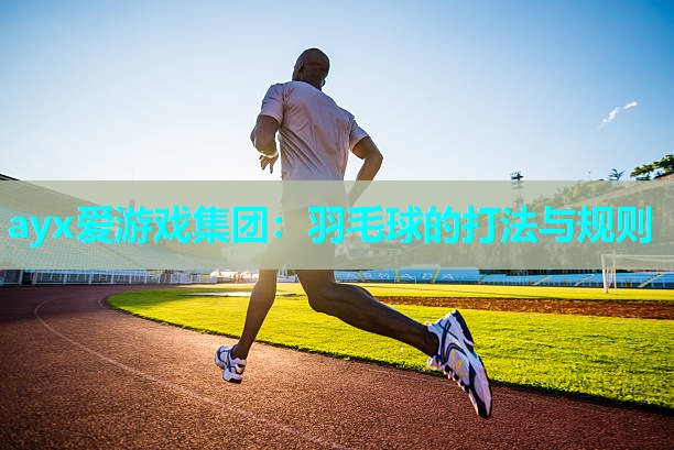 羽毛球的打法与规则