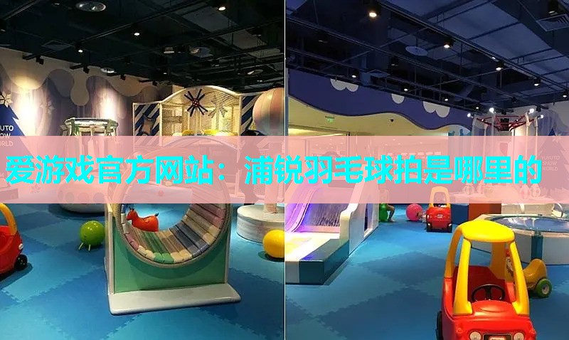 浦锐羽毛球拍是哪里的