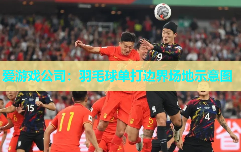 羽毛球单打边界场地示意图