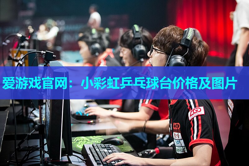 小彩虹乒乓球台价格及图片