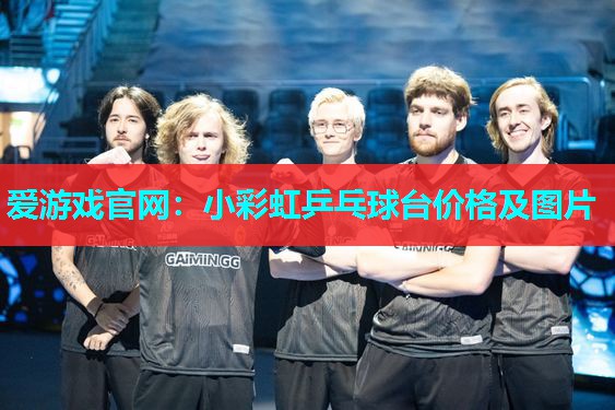 小彩虹乒乓球台价格及图片