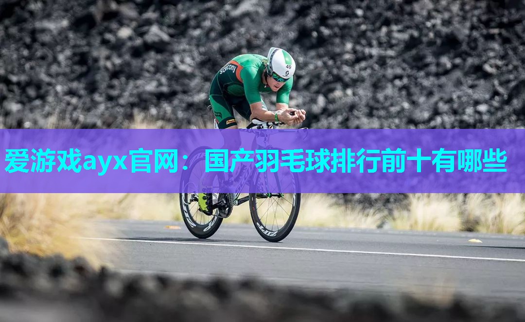 国产羽毛球排行前十有哪些