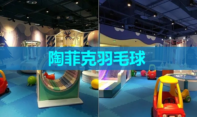 陶菲克羽毛球