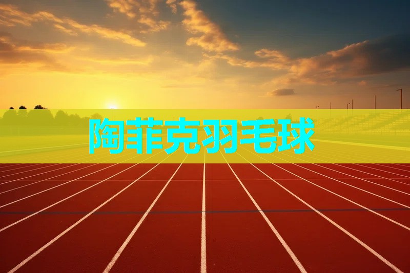 陶菲克羽毛球