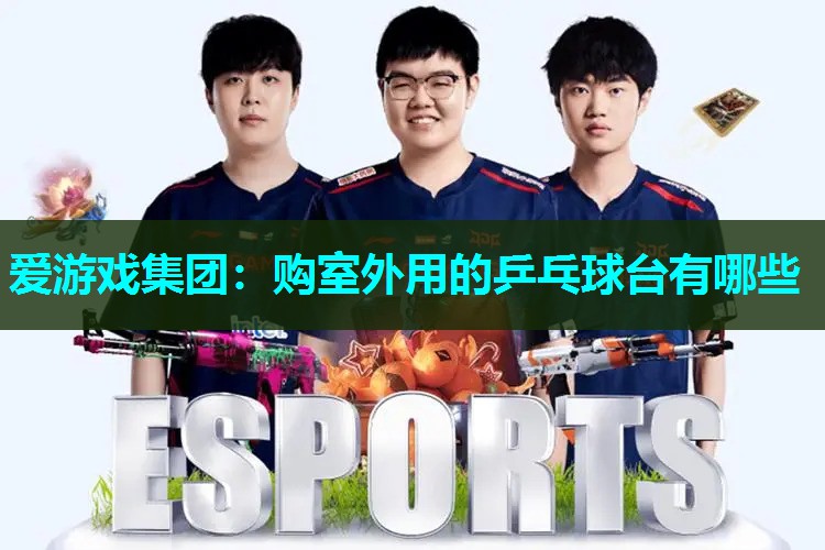 购室外用的乒乓球台有哪些