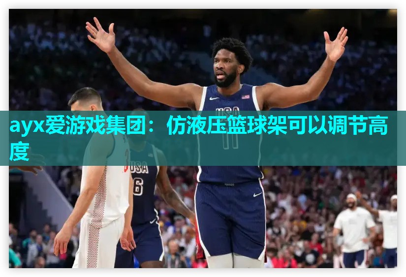 仿液压篮球架可以调节高度