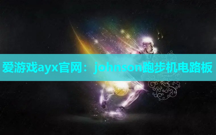 johnson跑步机电路板