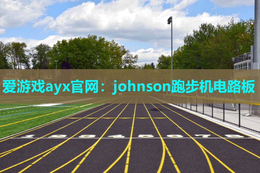 johnson跑步机电路板