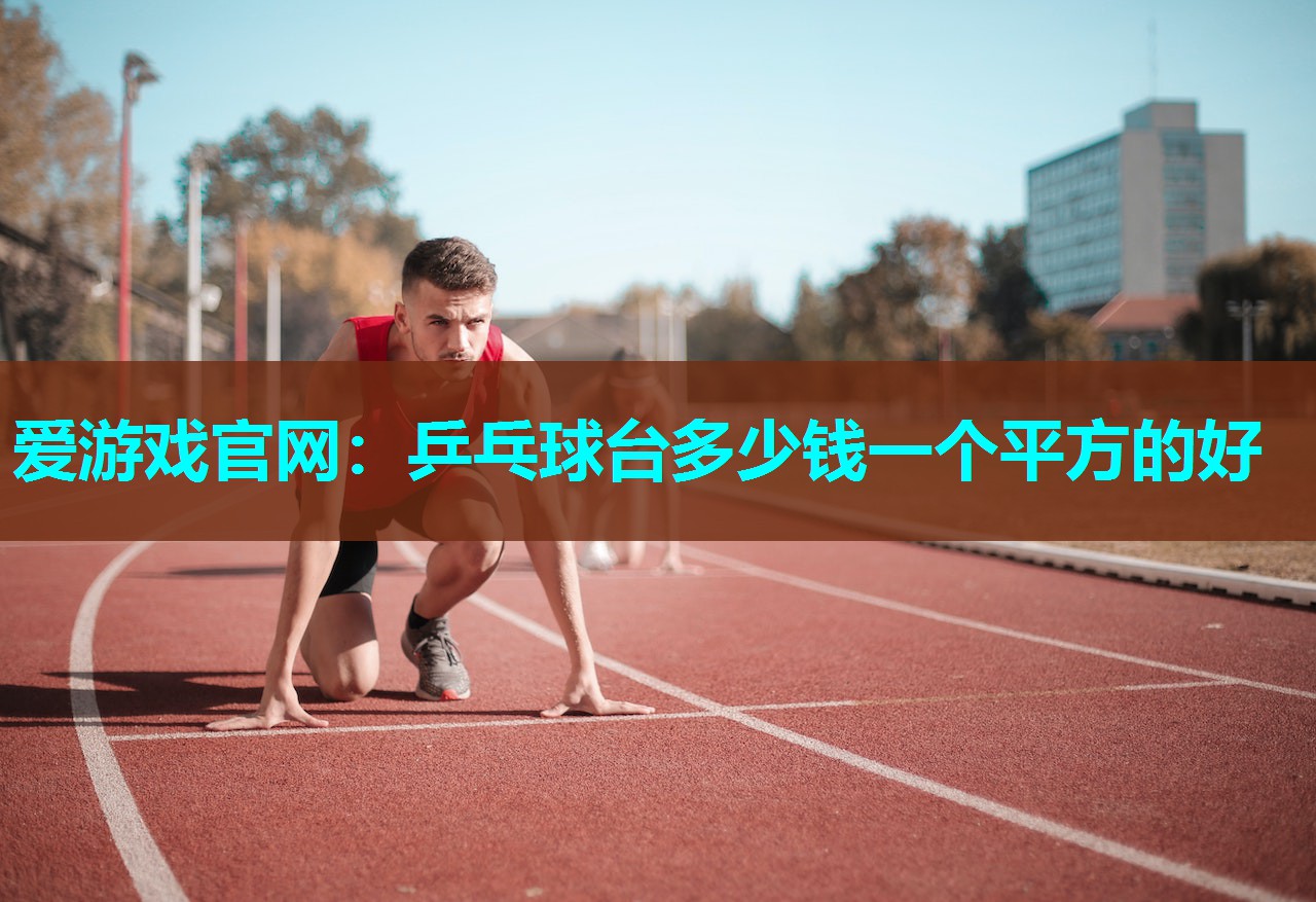 乒乓球台多少钱一个平方的好