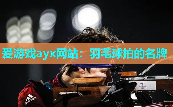 羽毛球拍的名牌
