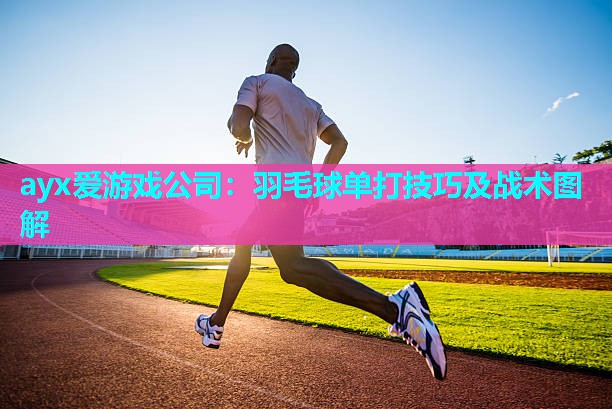 羽毛球单打技巧及战术图解