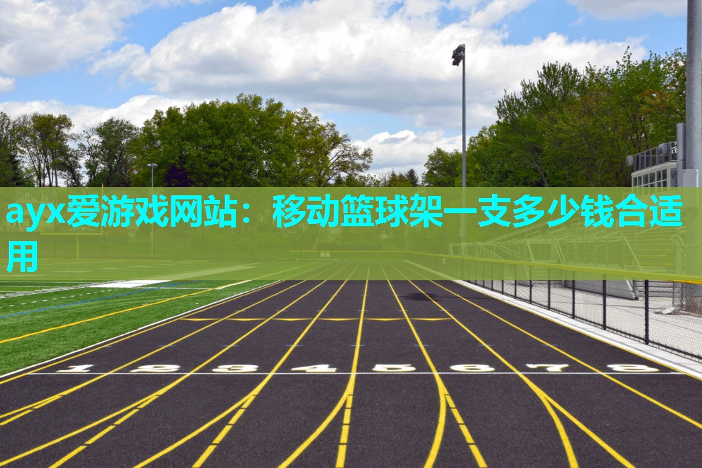 移动篮球架一支多少钱合适用