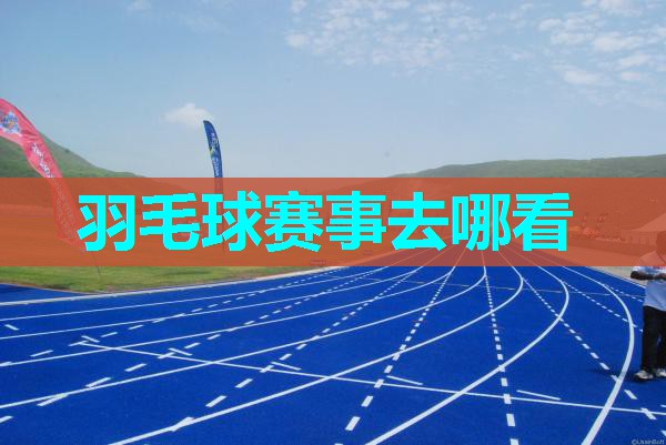 羽毛球赛事去哪看