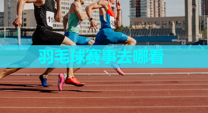 羽毛球赛事去哪看