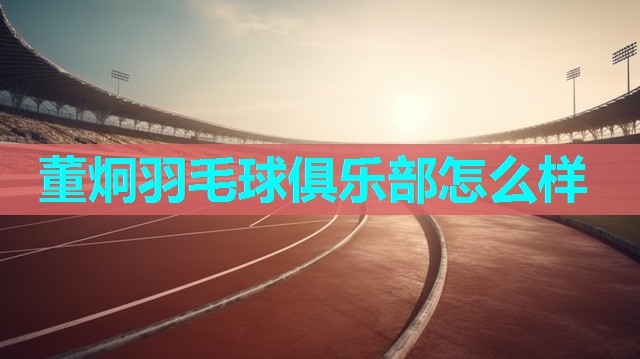 董炯羽毛球俱乐部怎么样