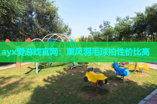 薰风羽毛球拍性价比高